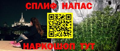 сатива Кунгур