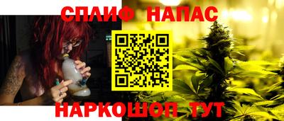 сатива Кунгур