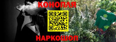 сатива Кунгур