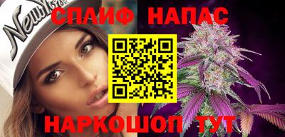 сатива Кунгур